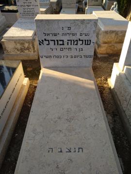 תמונת מצבה