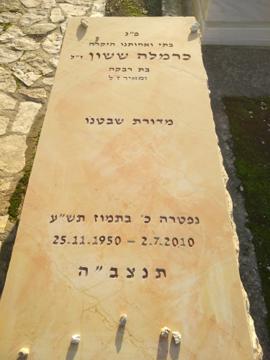 תמונת מצבה