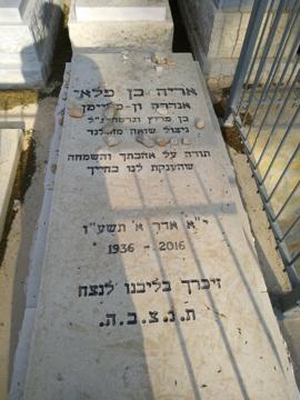 תמונת מצבה