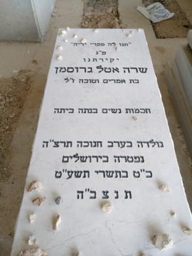 תמונת מצבה