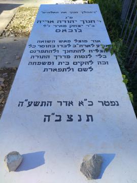 תמונת מצבה