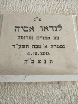 תמונת מצבה
