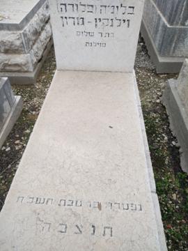 תמונת מצבה