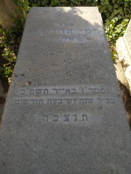 תמונת מצבה