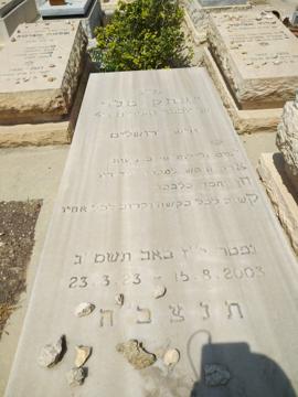 תמונת מצבה