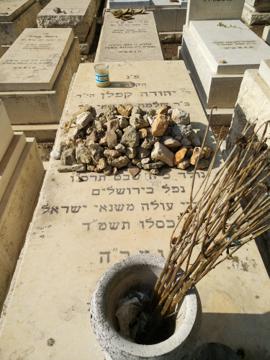 תמונת מצבה