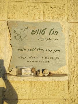 תמונת מצבה
