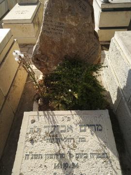 תמונת מצבה