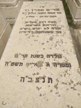 תמונת מצבה
