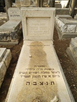 תמונת מצבה
