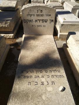 תמונת מצבה