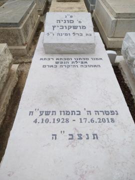 תמונת מצבה