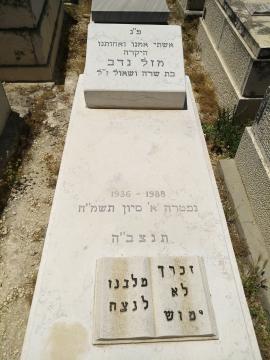 תמונת מצבה