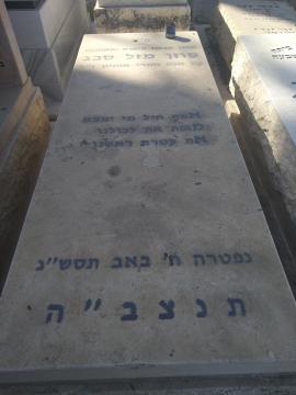 תמונת מצבה