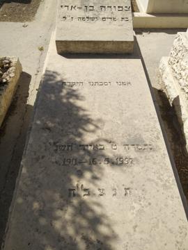 תמונת מצבה