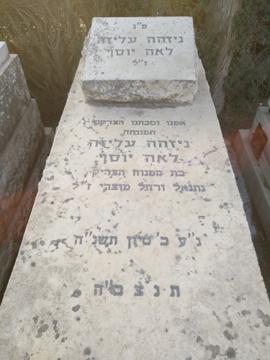 תמונת מצבה