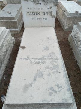 תמונת מצבה