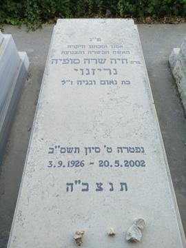 תמונת מצבה