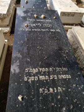 תמונת מצבה