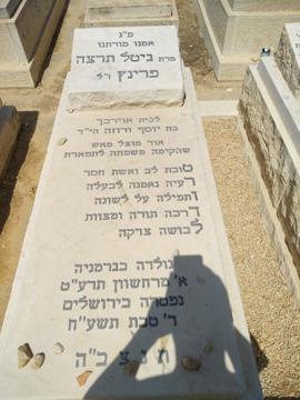 תמונת מצבה