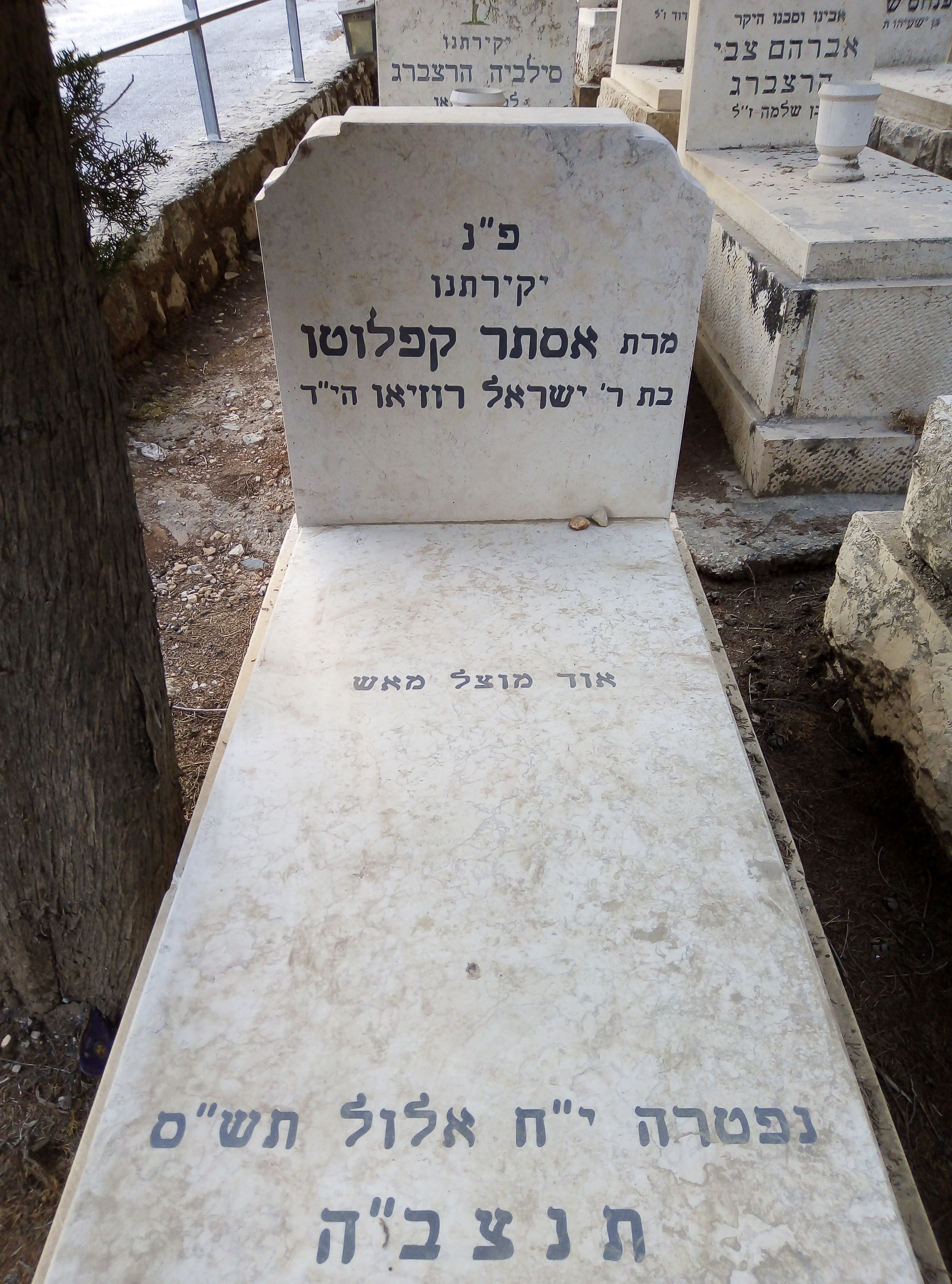 תמונת מצבה