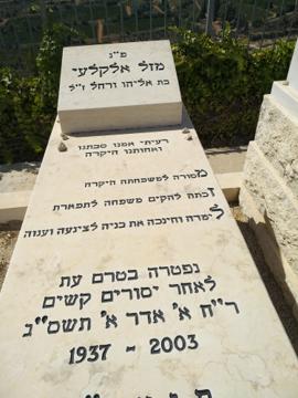 תמונת מצבה