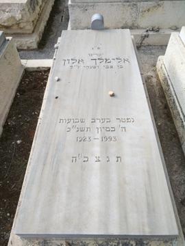 תמונת מצבה