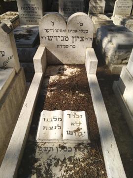 תמונת מצבה