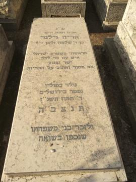 תמונת מצבה