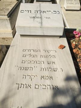 תמונת מצבה