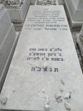 תמונת מצבה