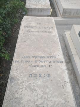תמונת מצבה