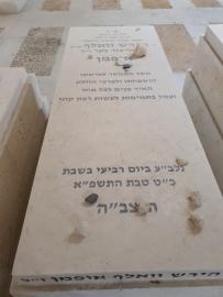 תמונת מצבה