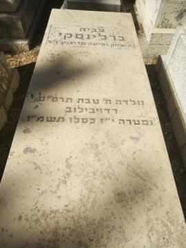 תמונת מצבה