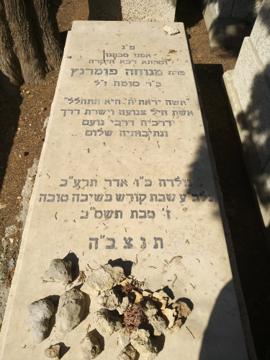 תמונת מצבה