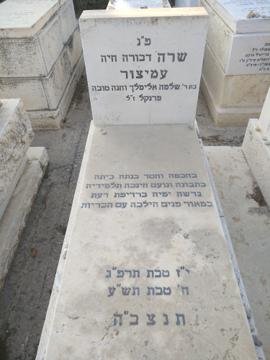 תמונת מצבה