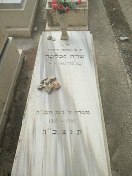 תמונת מצבה