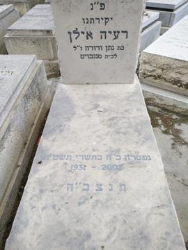 תמונת מצבה