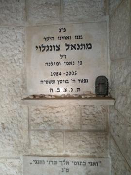 תמונת מצבה