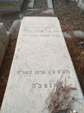 תמונת מצבה