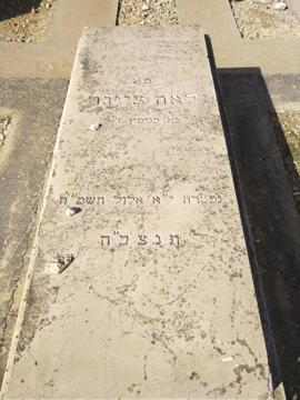 תמונת מצבה