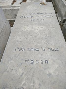 תמונת מצבה