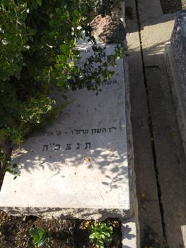 תמונת מצבה