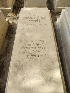 תמונת מצבה