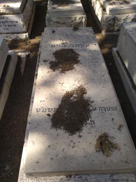 תמונת מצבה