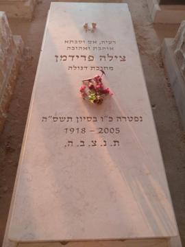תמונת מצבה