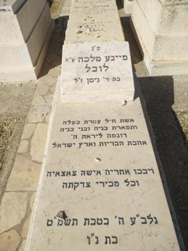 תמונת מצבה