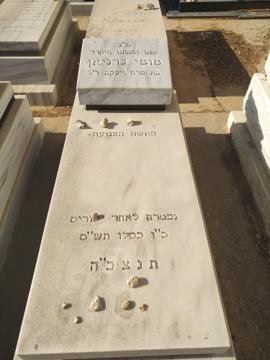 תמונת מצבה