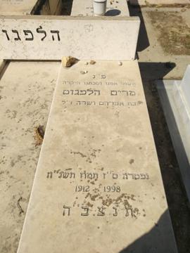 תמונת מצבה