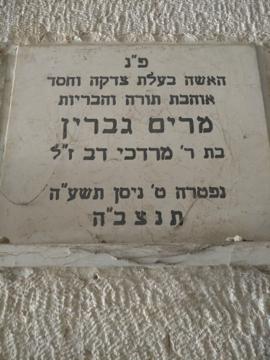 תמונת מצבה